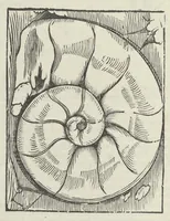 Picture 33 of 45 from Vlyssis Aldrouandi patricii Bononiensis Musaeum metallicum in libros IIII distributum (1648), leaf 781
