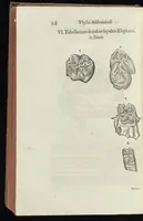 Picture 36 of 45 from Vlyssis Aldrouandi patricii Bononiensis Musaeum metallicum in libros IIII distributum (1648), leaf 845
