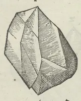 An illustration from Vlyssis Aldrouandi patricii Bononiensis Musaeum metallicum in libros IIII distributum (1648)