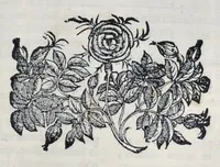 An illustration from Hieronymi Pradi et Ioannis Baptistae Villapandi e Societate Iesv In Ezechielem explanationes et apparatus vrbis ac templi Hierosolymitani : commentariis et imaginibvs illvstratvs : opvs tribvs tomis distinctvm .. (1596)