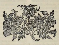 Picture 11 of 23 from Hieronymi Pradi et Ioannis Baptistae Villapandi e Societate Iesv In Ezechielem explanationes et apparatus vrbis ac templi Hierosolymitani : commentariis et imaginibvs illvstratvs : opvs tribvs tomis distinctvm .. (1596), leaf 181