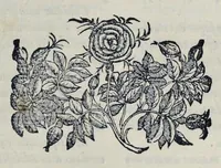 Picture 12 of 23 from Hieronymi Pradi et Ioannis Baptistae Villapandi e Societate Iesv In Ezechielem explanationes et apparatus vrbis ac templi Hierosolymitani : commentariis et imaginibvs illvstratvs : opvs tribvs tomis distinctvm .. (1596), leaf 300