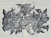 Picture 15 of 23 from Hieronymi Pradi et Ioannis Baptistae Villapandi e Societate Iesv In Ezechielem explanationes et apparatus vrbis ac templi Hierosolymitani : commentariis et imaginibvs illvstratvs : opvs tribvs tomis distinctvm .. (1596), leaf 344