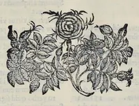 Picture 16 of 23 from Hieronymi Pradi et Ioannis Baptistae Villapandi e Societate Iesv In Ezechielem explanationes et apparatus vrbis ac templi Hierosolymitani : commentariis et imaginibvs illvstratvs : opvs tribvs tomis distinctvm .. (1596), leaf 363