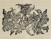 Picture 8 of 23 from Hieronymi Pradi et Ioannis Baptistae Villapandi e Societate Iesv In Ezechielem explanationes et apparatus vrbis ac templi Hierosolymitani : commentariis et imaginibvs illvstratvs : opvs tribvs tomis distinctvm .. (1596), leaf 62