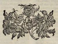 Picture 9 of 23 from Hieronymi Pradi et Ioannis Baptistae Villapandi e Societate Iesv In Ezechielem explanationes et apparatus vrbis ac templi Hierosolymitani : commentariis et imaginibvs illvstratvs : opvs tribvs tomis distinctvm .. (1596), leaf 79
