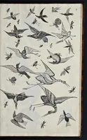 An illustration from A treatise of japaning and varnishing : being a compleat discovery of those arts, with the best way of making all sorts of varnish for japan, wood, prints, or pictures : the method of guilding, burnishing, and lackering, with the art of guilding, separating, and refining metals and of painting mezzo-tinto-prints : also rules for counterfeiting tortoise-shell, and marble, and for staining or dying wood, ivory, and horn : together with above an hundred distinct patterns for japan-work, in imitation of the indians, for tables, stands, frames, cabinets, boxes, &c. (1688)