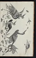 Picture 9 of 17 from A treatise of japaning and varnishing : being a compleat discovery of those arts, with the best way of making all sorts of varnish for japan, wood, prints, or pictures : the method of guilding, burnishing, and lackering, with the art of guilding, separating, and refining metals and of painting mezzo-tinto-prints : also rules for counterfeiting tortoise-shell, and marble, and for staining or dying wood, ivory, and horn : together with above an hundred distinct patterns for japan-work, in imitation of the indians, for tables, stands, frames, cabinets, boxes, &c. (1688), leaf 120
