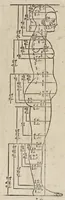 An illustration from Alberti Dureri clarissimi pictoris et geometrae de sym[m]etria partium in rectis formis hu[m]anorum corporum libri in Latinum conuersi (1532)