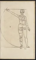 Picture 20 of 22 from Alberti Dureri clarissimi pictoris et geometrae de sym[m]etria partium in rectis formis hu[m]anorum corporum libri in Latinum conuersi (1532), leaf 148