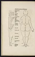 An illustration from Alberti Dureri clarissimi pictoris et geometrae de sym[m]etria partium in rectis formis hu[m]anorum corporum libri in Latinum conuersi (1532)