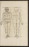 An illustration from Alberti Dureri clarissimi pictoris et geometrae de sym[m]etria partium in rectis formis hu[m]anorum corporum libri in Latinum conuersi (1532)