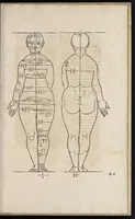 An illustration from Alberti Dureri clarissimi pictoris et geometrae de sym[m]etria partium in rectis formis hu[m]anorum corporum libri in Latinum conuersi (1532)