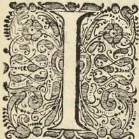 An illustration from Naukeurige beschrijvinge der Afrikaensche gewesten van Egypten, Barbaryen, Libyen, Biledulgerid, Negroslant, Guinea, Ethiopiën, Abyssinie ... : getrokken uit verscheyde hedendaegse lantbeschrijvers en geschriften van bereisde ondersoekers dier landen (1668)