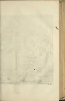An illustration from Naukeurige beschrijvinge der Afrikaensche gewesten van Egypten, Barbaryen, Libyen, Biledulgerid, Negroslant, Guinea, Ethiopiën, Abyssinie ... : getrokken uit verscheyde hedendaegse lantbeschrijvers en geschriften van bereisde ondersoekers dier landen (1668)