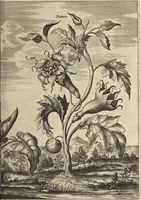 An illustration from Naukeurige beschrijvinge der Afrikaensche gewesten van Egypten, Barbaryen, Libyen, Biledulgerid, Negroslant, Guinea, Ethiopiën, Abyssinie ... : getrokken uit verscheyde hedendaegse lantbeschrijvers en geschriften van bereisde ondersoekers dier landen (1668)