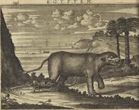 Picture 30 of 144 from Naukeurige beschrijvinge der Afrikaensche gewesten van Egypten, Barbaryen, Libyen, Biledulgerid, Negroslant, Guinea, Ethiopiën, Abyssinie ... : getrokken uit verscheyde hedendaegse lantbeschrijvers en geschriften van bereisde ondersoekers dier landen (1668), leaf 191