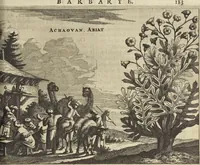 Picture 37 of 144 from Naukeurige beschrijvinge der Afrikaensche gewesten van Egypten, Barbaryen, Libyen, Biledulgerid, Negroslant, Guinea, Ethiopiën, Abyssinie ... : getrokken uit verscheyde hedendaegse lantbeschrijvers en geschriften van bereisde ondersoekers dier landen (1668), leaf 256