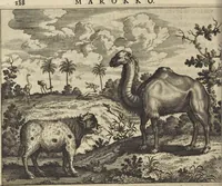 An illustration from Naukeurige beschrijvinge der Afrikaensche gewesten van Egypten, Barbaryen, Libyen, Biledulgerid, Negroslant, Guinea, Ethiopiën, Abyssinie ... : getrokken uit verscheyde hedendaegse lantbeschrijvers en geschriften van bereisde ondersoekers dier landen (1668)