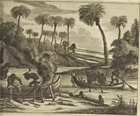 An illustration from Naukeurige beschrijvinge der Afrikaensche gewesten van Egypten, Barbaryen, Libyen, Biledulgerid, Negroslant, Guinea, Ethiopiën, Abyssinie ... : getrokken uit verscheyde hedendaegse lantbeschrijvers en geschriften van bereisde ondersoekers dier landen (1668)