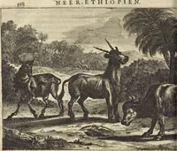 Picture 125 of 144 from Naukeurige beschrijvinge der Afrikaensche gewesten van Egypten, Barbaryen, Libyen, Biledulgerid, Negroslant, Guinea, Ethiopiën, Abyssinie ... : getrokken uit verscheyde hedendaegse lantbeschrijvers en geschriften van bereisde ondersoekers dier landen (1668), leaf 767