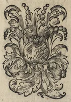 Picture 20 of 21 from Le noue muse (1614), leaf 256