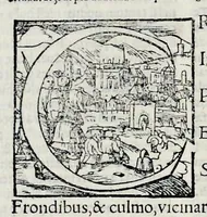 Picture 13 of 31 from Ivnii Ivvenalis Aqvinatis Satyrographi opvs : nunc demvm ab omnibvs mendis purgatum, & pluribus collatis exemplaribus suo candori restitutum (1548), leaf 115
