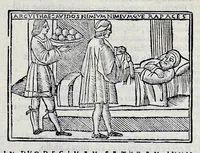 Picture 22 of 31 from Ivnii Ivvenalis Aqvinatis Satyrographi opvs : nunc demvm ab omnibvs mendis purgatum, & pluribus collatis exemplaribus suo candori restitutum (1548), leaf 250