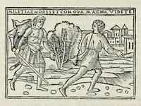 Picture 29 of 31 from Ivnii Ivvenalis Aqvinatis Satyrographi opvs : nunc demvm ab omnibvs mendis purgatum, & pluribus collatis exemplaribus suo candori restitutum (1548), leaf 297