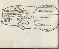 Picture 14 of 25 from Cosmographiae introdvctio : cum quibusdam geometriae ac astronomiae principijs ad eam rem necessarijs (1533), leaf 31