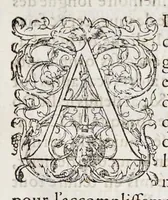 Picture 21 of 34 from Le premier tome de l'architectvre (1567), leaf 412
