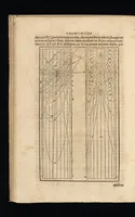Picture 33 of 58 from Gnomonice Andreae Schoneri Noribergensis, hoc est, De descriptionibvs horologiorvm sciotericorvm omnis generis, proiectionibus circulorum sphaericorum ad superficies, cum planas, tum conuexas concauasq[ue], sphaericas, cylindricas, ac conicas, item delineationibus quadrantum, annulorum, &c. libri tres (1562), leaf 127