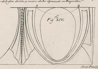 An illustration from Des ordres de colõnes en l'architecture, et plusieurs aũes dependances dicelle (1664)