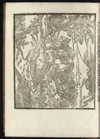 An illustration from La historia di Vicenza (1604)