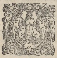 Picture 1 of 28 from Sito et antichita della citta di Pozzuolo : e del suo amenissimo distretto, con la descrittione di tutti i luoghi notabili e degni di memoria, e di Cuma, e di Baia, e di Miseno, e degli altri luoghi conuicini : con le figure de gli edificij, e con gli epitafi che vi sono (1606), leaf 2