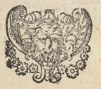 Picture 18 of 28 from Sito et antichita della citta di Pozzuolo : e del suo amenissimo distretto, con la descrittione di tutti i luoghi notabili e degni di memoria, e di Cuma, e di Baia, e di Miseno, e degli altri luoghi conuicini : con le figure de gli edificij, e con gli epitafi che vi sono (1606), leaf 209