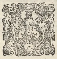 Picture 20 of 28 from Sito et antichita della citta di Pozzuolo : e del suo amenissimo distretto, con la descrittione di tutti i luoghi notabili e degni di memoria, e di Cuma, e di Baia, e di Miseno, e degli altri luoghi conuicini : con le figure de gli edificij, e con gli epitafi che vi sono (1606), leaf 234