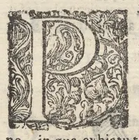 Picture 24 of 28 from Sito et antichita della citta di Pozzuolo : e del suo amenissimo distretto, con la descrittione di tutti i luoghi notabili e degni di memoria, e di Cuma, e di Baia, e di Miseno, e degli altri luoghi conuicini : con le figure de gli edificij, e con gli epitafi che vi sono (1606), leaf 255
