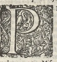 An illustration from Sito et antichita della citta di Pozzuolo : e del suo amenissimo distretto, con la descrittione di tutti i luoghi notabili e degni di memoria, e di Cuma, e di Baia, e di Miseno, e degli altri luoghi conuicini : con le figure de gli edificij, e con gli epitafi che vi sono (1606)