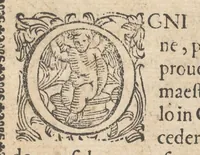 Picture 3 of 20 from Gran simulacro dell'arte e dell'uso della scherma (1610), leaf 8