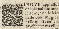 An illustration from Vago, e diletteuole giardino di varie lettioni (1608)