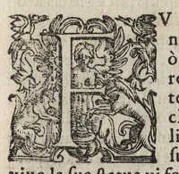 An illustration from Vago, e diletteuole giardino di varie lettioni (1608)