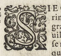An illustration from Vago, e diletteuole giardino di varie lettioni (1608)