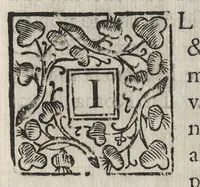 An illustration from Vago, e diletteuole giardino di varie lettioni (1608)