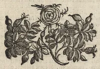 An illustration from L'ambasciatore (1627)