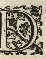 An illustration from L'ambasciatore (1627)