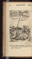 Picture 11 of 45 from Pia desideria, viz. 1. Gemitus animae poenitentis, 2. Vota animae sanctae, 3. Suspiria animae amantis (1677), leaf 51