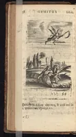 An illustration from Pia desideria, viz. 1. Gemitus animae poenitentis, 2. Vota animae sanctae, 3. Suspiria animae amantis (1677)