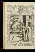Picture 20 of 26 from Statvta Hospitalis Hiervsalem (1588), leaf 173