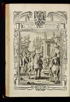 Picture 24 of 26 from Statvta Hospitalis Hiervsalem (1588), leaf 213